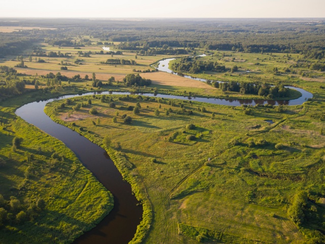 Pilica - Lengyelország folyóin